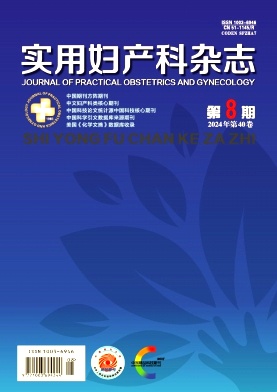 实用妇产科杂志封面